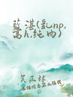 蓝湛(乱np,高h,纯肉)