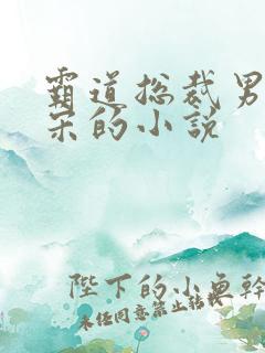 霸道总裁男主姓宋的小说