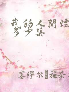 我的人间烟火有多少集