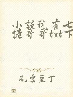 小说我有七个大佬哥哥txt下载