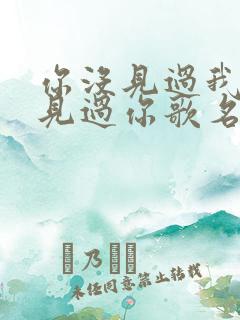 你没见过我我没见过你歌名