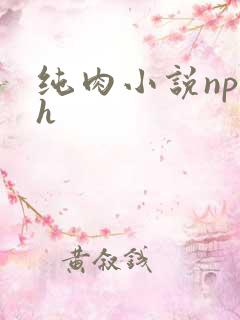 纯肉小说np高h