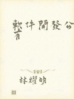 软件开发公司哪有