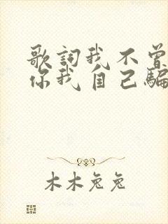 歌词我不曾爱过你我自己骗自己是什么歌