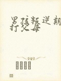 男孩叛逆期动手打父母