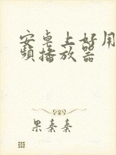 安卓上好用的视频播放器