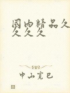 国内精品久久久久久久