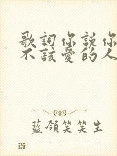 歌词你说你爱了不该爱的人是什么歌