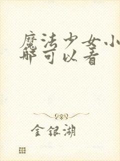 魔法少女小圆在哪可以看