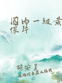 国内一级黄色录像片