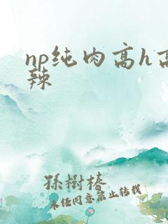 np纯肉高h高辣