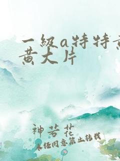 一级a特特黄特黄大片