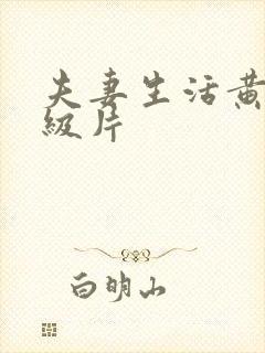 夫妻生活黄色一级片