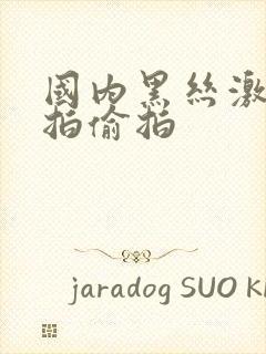 国内黑丝激情自拍偷拍