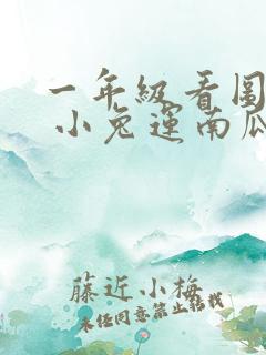 一年级看图写话 小兔运南瓜