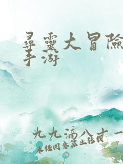 寻灵大冒险安卓手游