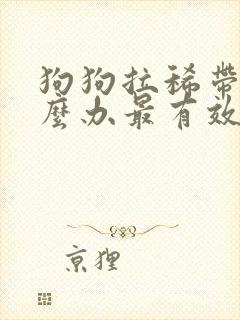 狗狗拉稀带血怎么办最有效的方法