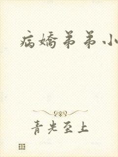 病娇弟弟小说