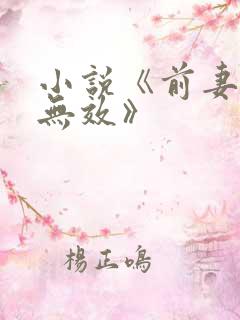 小说《前妻离婚无效》