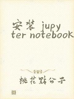 安装 jupyter notebook