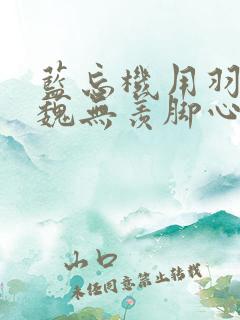 蓝忘机用羽毛挠魏无羡脚心