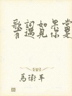 歌词如果当初没有遇见你是什么歌