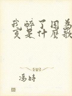 我醉了因为我寂寞是什么歌