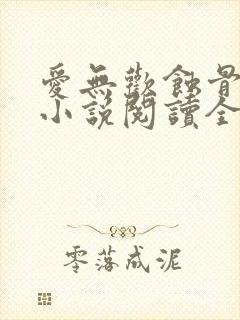 爱无欢蚀骨惊情小说阅读全部