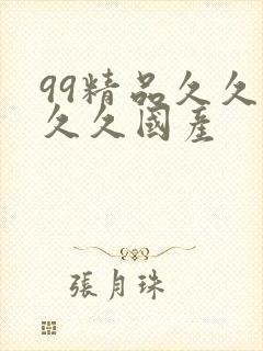 99精品久久久久久国产