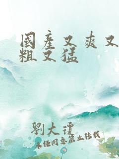 国产又爽又黄又粗又猛