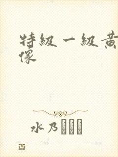 特级一级黄色录像