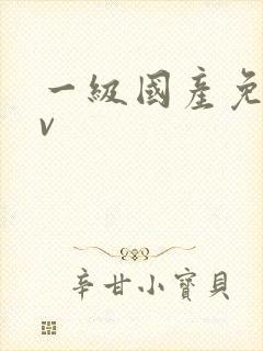 一级国产免费av