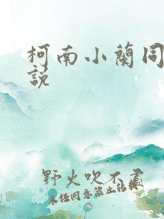 柯南小兰同人小说