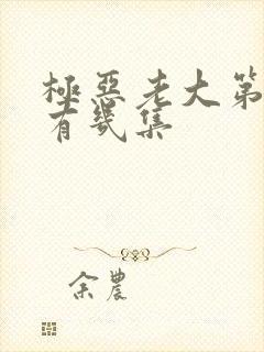 极恶老大第二季有几集