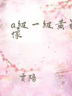 a级一级黄色录像