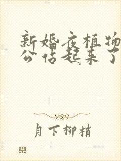 新婚夜植物人老公站起来了短剧免费看