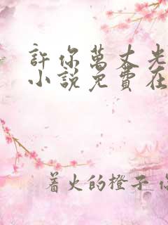 许你万丈光芒好小说免费在线阅读完整版