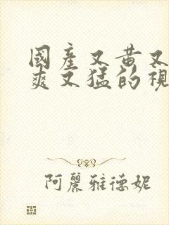 国产又黄又粗又爽又猛的视频