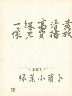 一级高清黄色录像免费播放