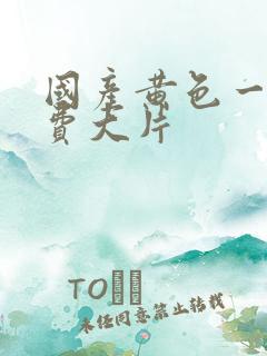 国产黄色一级免费大片