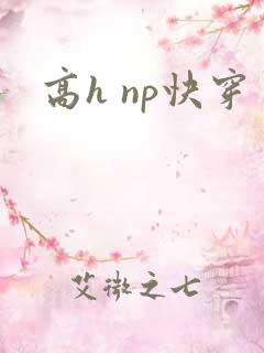 高h np快穿