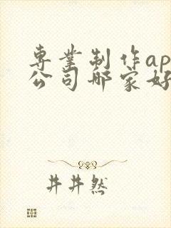 专业制作app公司哪家好