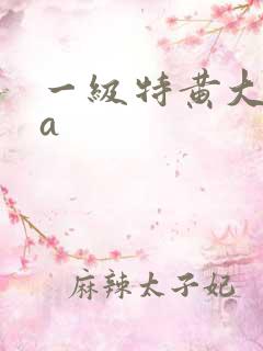 一级特黄大片aa