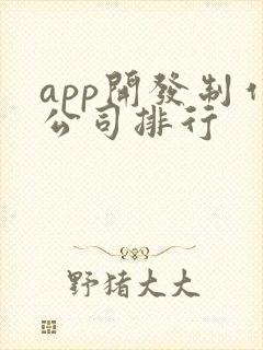 app开发制作公司排行