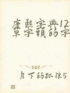 康熙字典12画草字头的字
