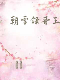 朝雪录晋王是谁