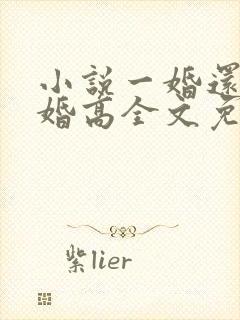 小说一婚还比一婚高全文免费阅读