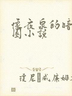 像夜泉的暗黑校园小说