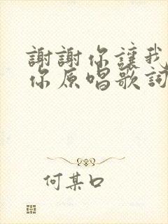 谢谢你让我遇见你原唱歌词