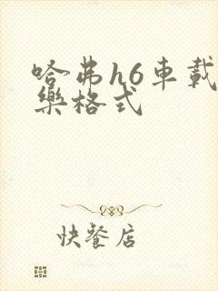 哈弗h6车载音乐格式